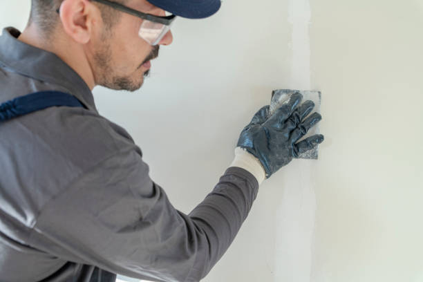 Trusted Kenmore, NY Mold Removal Experts
