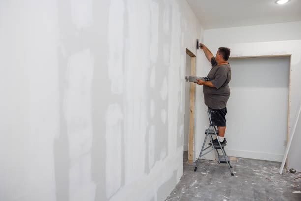 Best Black Mold Removal  in Kenmore, NY