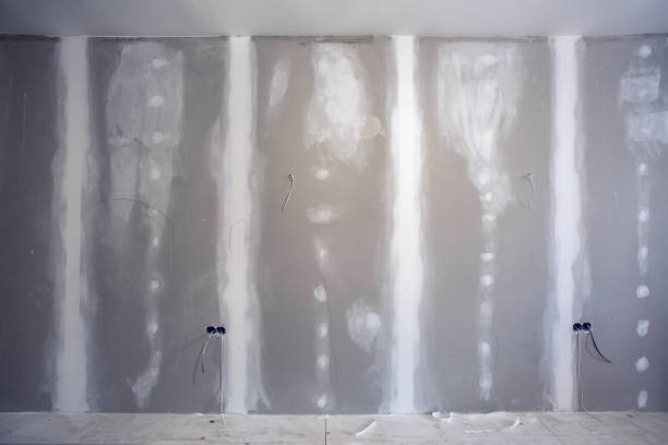 Best Basement Mold Removal  in Kenmore, NY